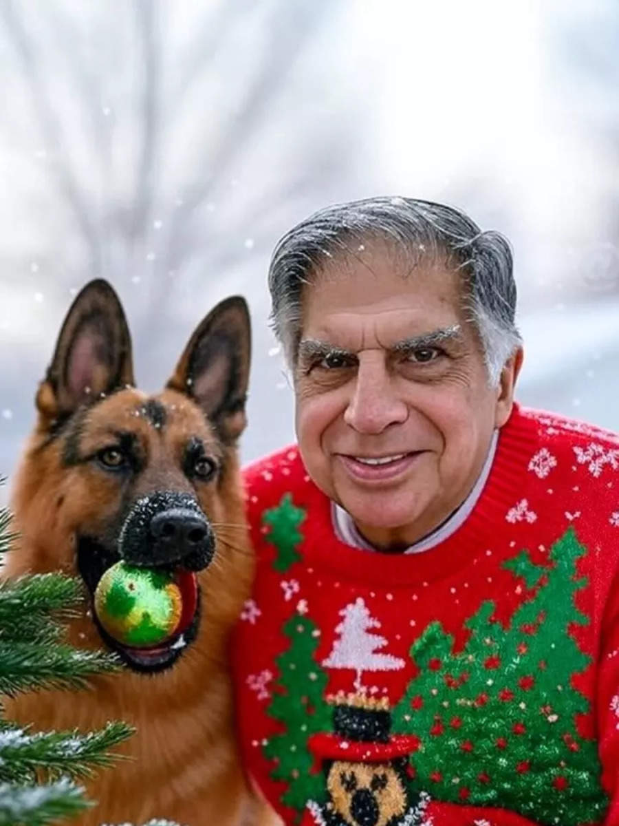 Ratan Tata to Sushant Singh Rajput: 8 Celebrated Icons Come to Life