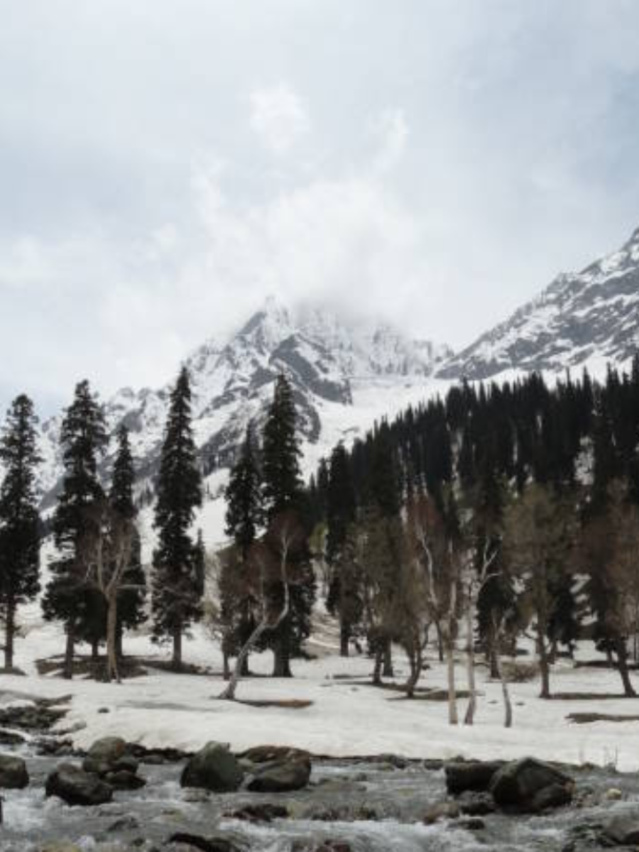 Where Winter Bites: India’s Coldest Places In December 2024​