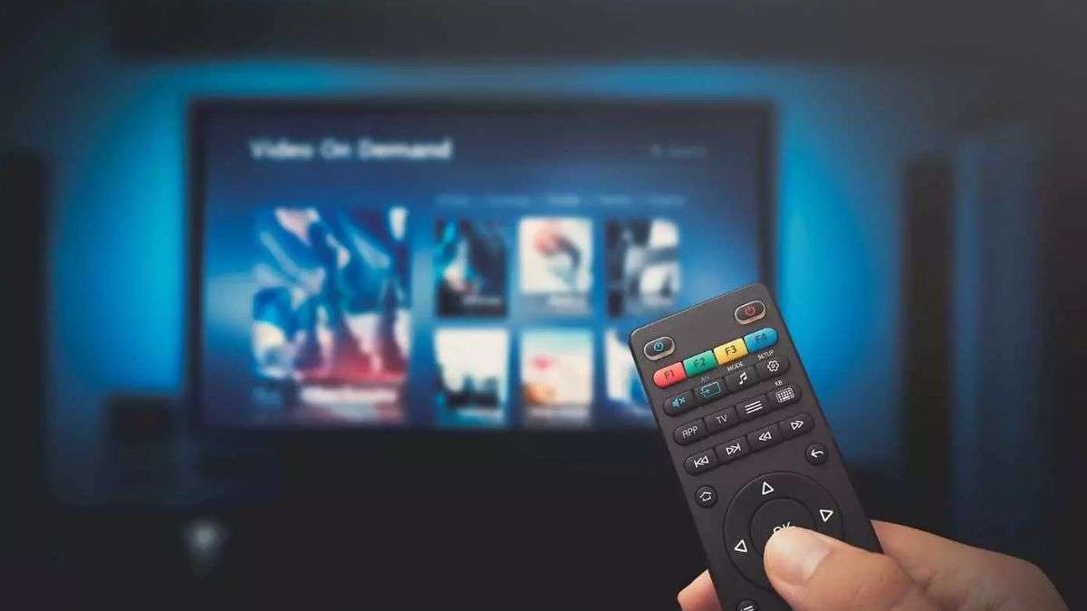India banned another big action, Pakistani web series, songs and movies