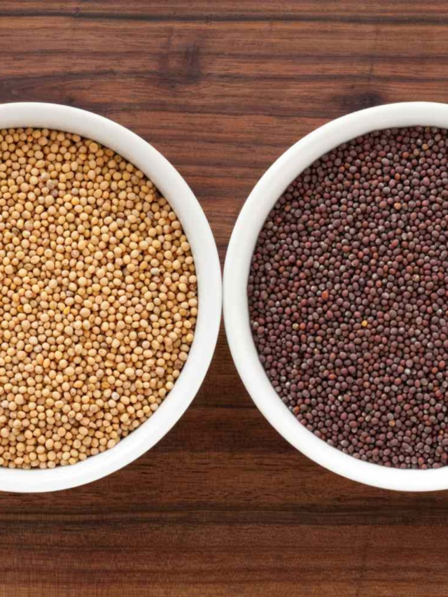 8 Desi Seeds That Are More Nutritious Than Protein Bars12 mins ago