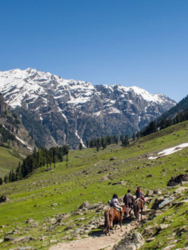 8 Breathtaking Valley Views in India That Feel Like Heaven32 mins ago