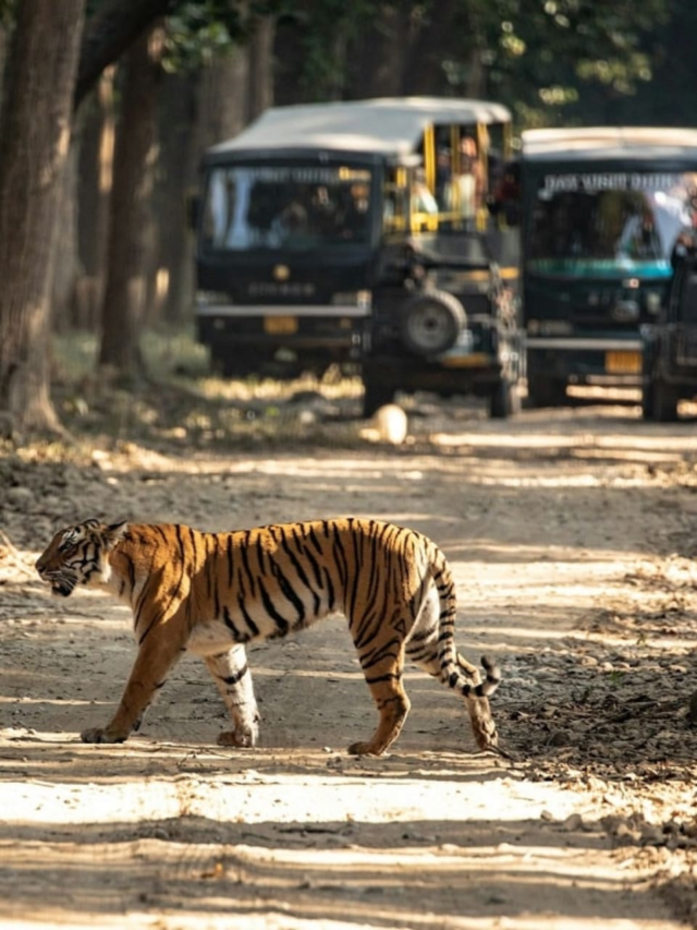 8 Birdwatching Hotspots in India You’ve Probably Missed49 mins ago
