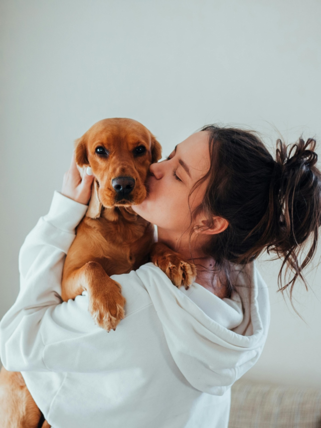 9 Animals You Legally Can’t Keep As Pets in India4 mins ago