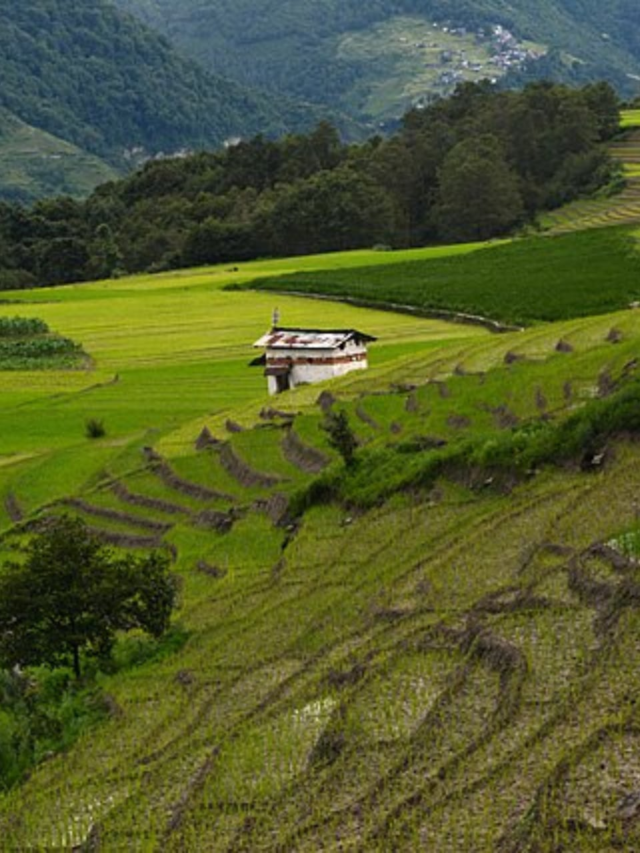Hidden Villages in India That Look Too Good To Be Real1 hour ago