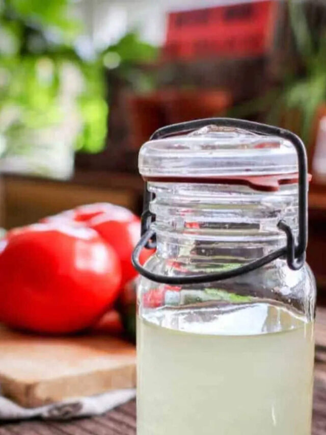 ​Tomato Water: A Gourmet Umami Cocktail Booster You Can Easily Prepare at Home​