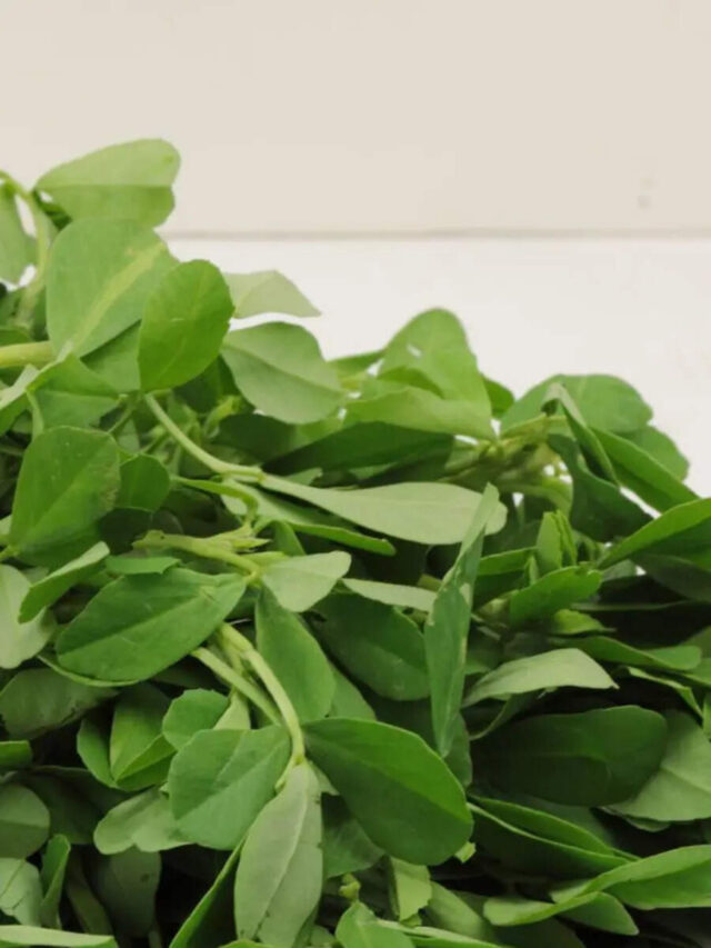 10 Indoor Plants For Your Kitchen That Can Also Be Used As Indian Masalas