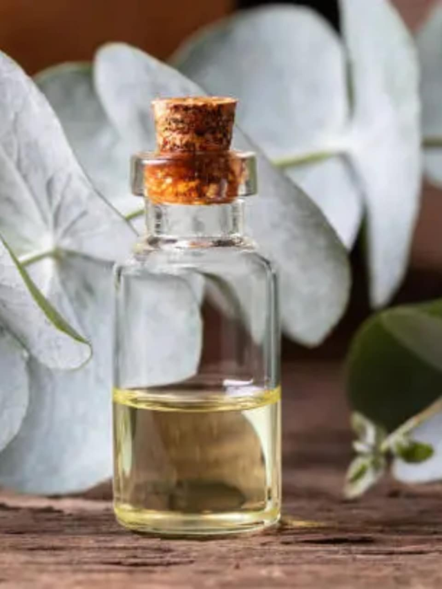 Top Benefits of using Eucalyptus Oil15 minutes ago