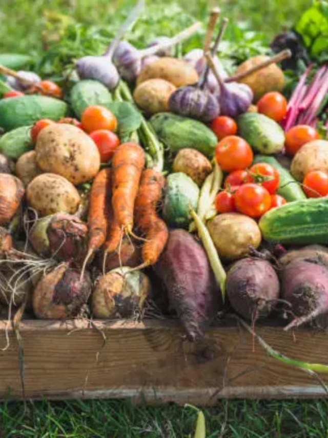 Benefits of eating seasonally47 minutes ago